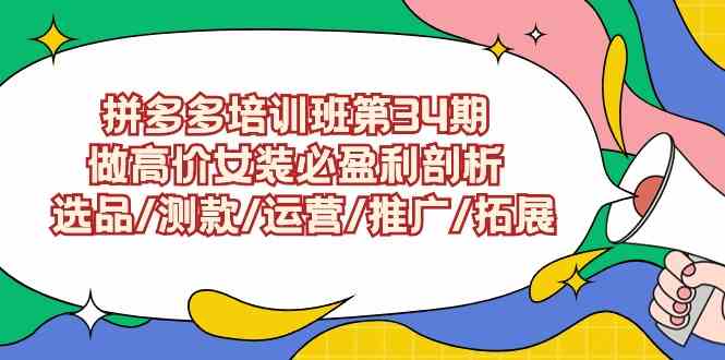 （9333期）拼多多培训班第34期：做高价女装必盈利剖析  选品/测款/运营/推广/拓展-可创副业网