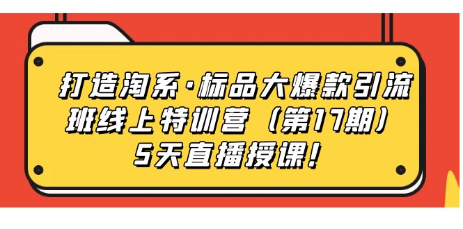 打造淘系·标品大爆款引流班线上特训营（第17期）5天直播授课！-可创副业网