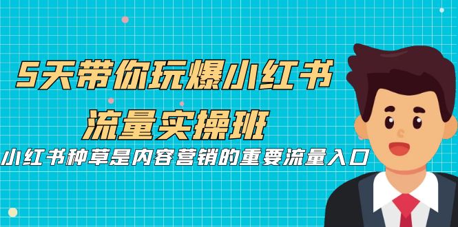 5天带你玩爆小红书流量实操班，小红书种草是内容营销的重要流量入口-可创副业网