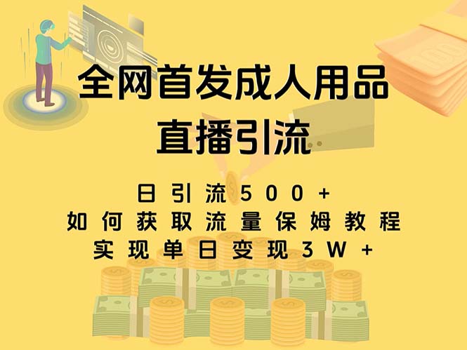 最新全网独创首发，成人用品直播引流获客暴力玩法，单日变现3w保姆级教程-可创副业网