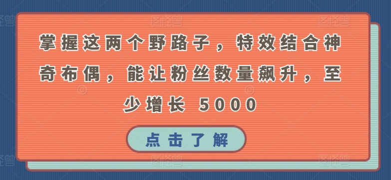 掌握这两个野路子，特效结合神奇布偶，能让粉丝数量飙升，至少增长 5000-可创副业网