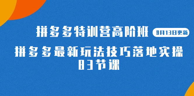 2023拼多多·特训营高阶班【9月19日更新】拼多多最新玩法技巧落地实操-83节-可创副业网
