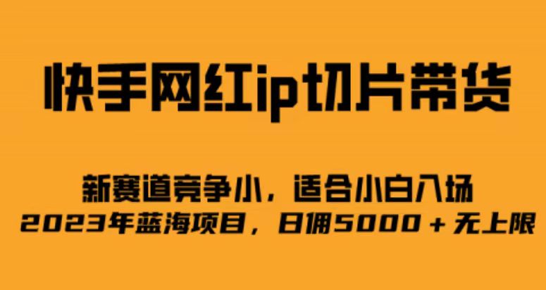 快手网红ip切片新赛道，竞争小事，适合小白 2023蓝海项目-可创副业网