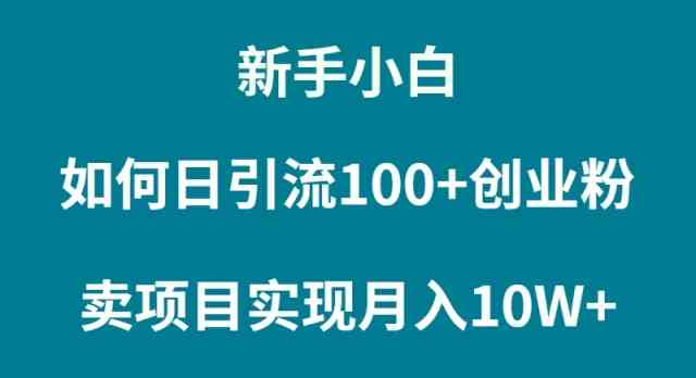 （9556期）新手小白如何通过卖项目实现月入10W+-可创副业网