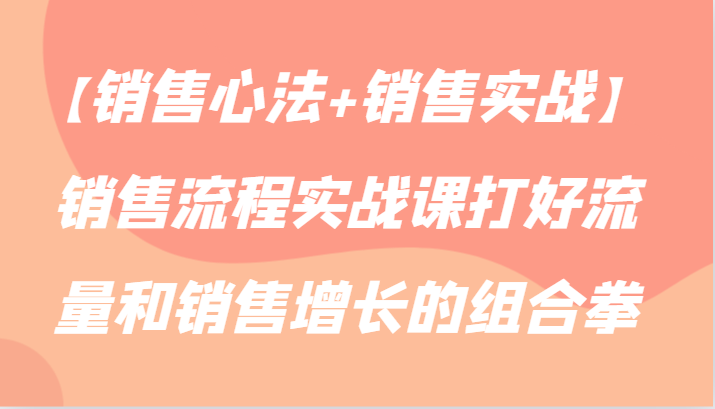 【销售心法+销售实战】销售流程实战课打好流量和销售增长的组合拳-可创副业网
