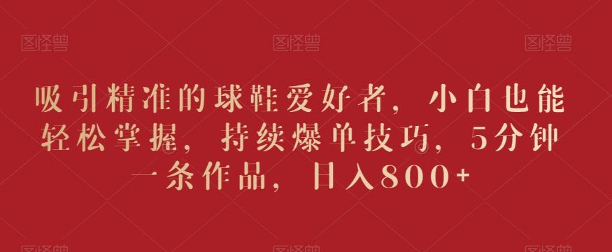 吸引精准的球鞋爱好者，小白也能轻松掌握，持续爆单技巧，5分钟一条作品，日入800+【揭秘】-可创副业网