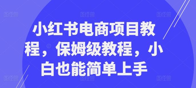 小红书电商项目教程，保姆级教程，小白也能简单上手-可创副业网