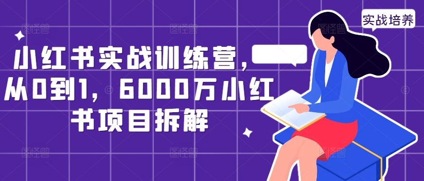 小红书实战训练营，从0到1，6000万小红书项目拆解-可创副业网