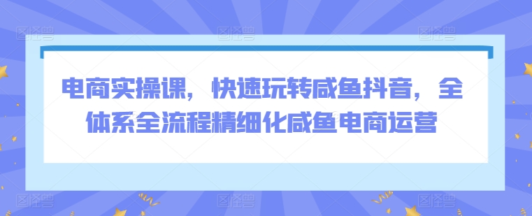 电商实操课，快速玩转咸鱼抖音，全体系全流程精细化咸鱼电商运营-可创副业网