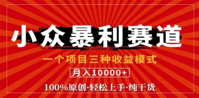 视频号最新爆火赛道，三种可收益模式，0粉新号条条原创条条热门 日入1000+-可创副业网
