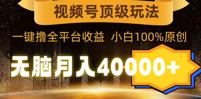 （9281期）视频号顶级玩法，无脑月入40000+，一键撸全平台收益，纯小白也能100%原创-可创副业网