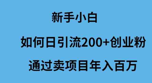 （9668期）新手小白如何日引流200+创业粉通过卖项目年入百万-可创副业网