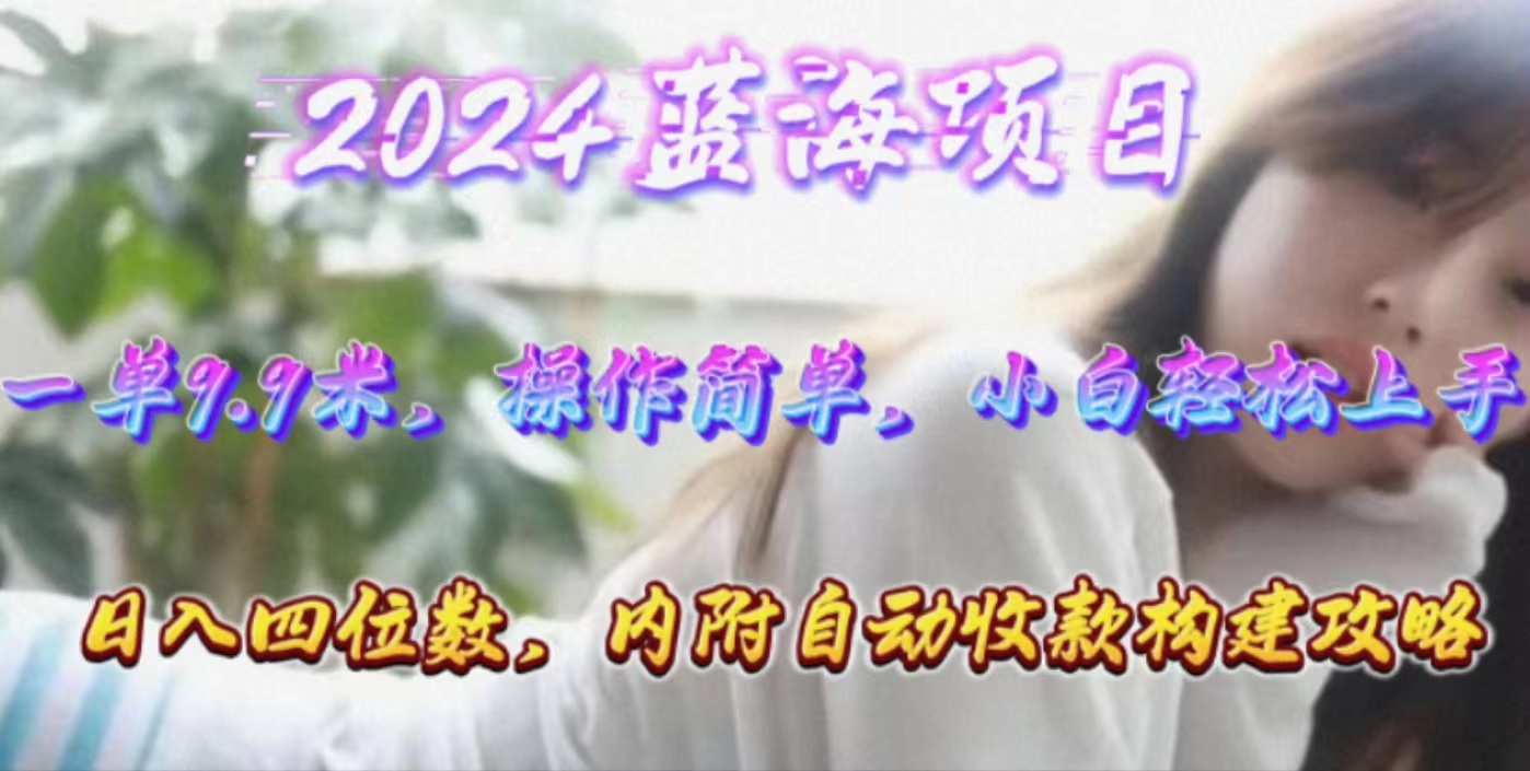 （10204期）年轻群体的蓝海市场，1单9.9元，操作简单，小白轻松上手，日入四位数-可创副业网