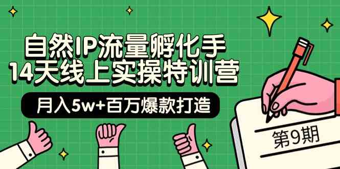 自然IP流量孵化手14天线上实操特训营【第9期】月入5w+百万爆款打造 (74节)-可创副业网