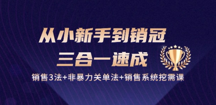 从小新手到销冠 三合一速成:销售3法+非暴力关单法+销售系统挖需课 (27节)-可创游戏社区