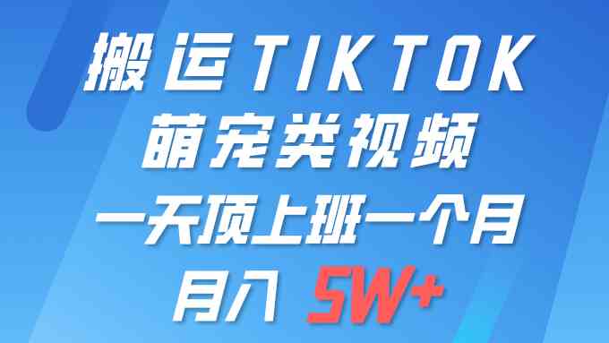 （9931期）一键搬运TIKTOK萌宠类视频 一部手机即可操作 所有平台均可发布 轻松月入5W+-可创副业网