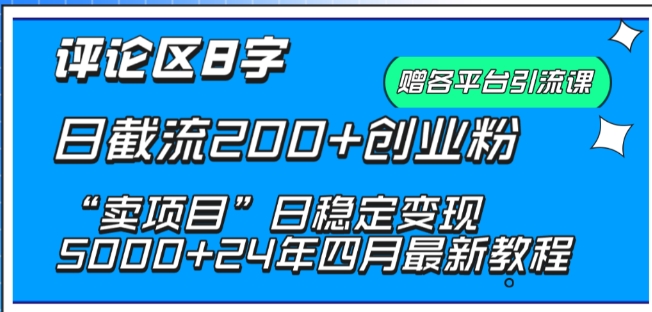 抖音评论区8字日截流200+创业粉 “卖项目”日稳定变现5000+-可创副业网