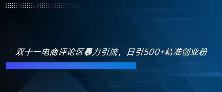 双十一电商评论区暴力引流，日引500+精准创业粉【揭秘】-可创副业网