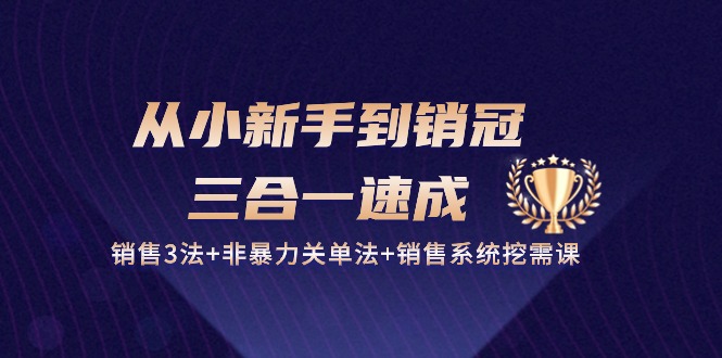 （10799期）从小新手到销冠 三合一速成：销售3法+非暴力关单法+销售系统挖需课 (27节)-可创副业网