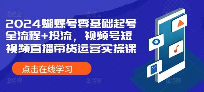 2024蝴蝶号零基础起号全流程+投流，视频号短视频直播带货运营实操课-可创副业网