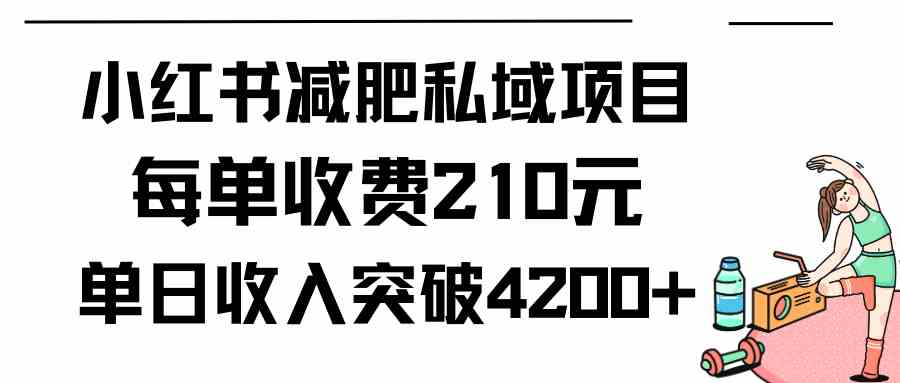 （9466期）小红书减肥私域项目每单收费210元单日成交20单，最高日入4200+-可创副业网