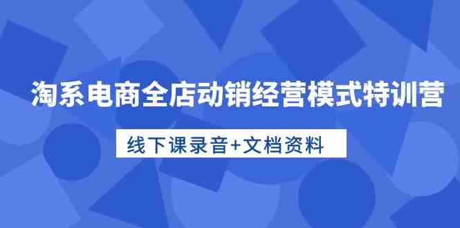 （10192期）淘系电商全店动销经营模式特训营，线下课录音+文档资料-可创副业网