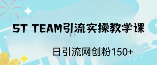 ST TEAM引流实操课，日引流网创粉100+-可创副业网