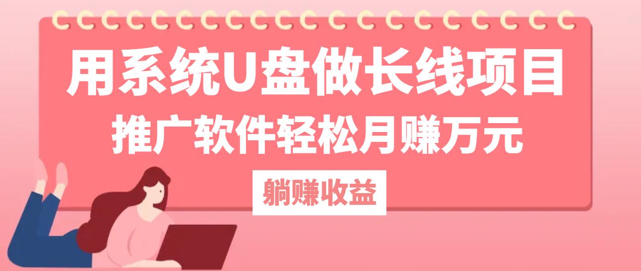 用系统U盘做长线项目，推广软件轻松月赚万元-可创副业网