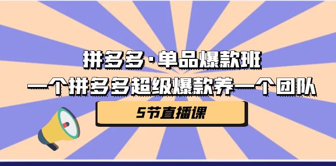 拼多多·单品爆款班，一个拼多多超级爆款养一个团队（5节直播课）-可创副业网