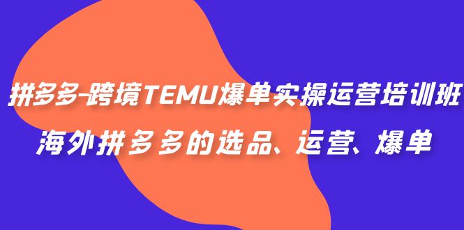 拼多多-跨境TEMU爆单实操运营培训班，海外拼多多的选品、运营、爆单-可创副业网