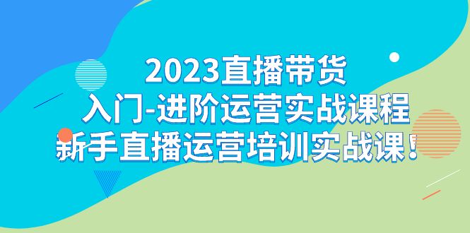 2023直播带货入门-进阶运营实战课程：新手直播运营培训实战课！-可创副业网