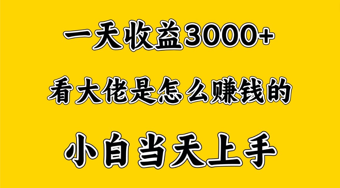 一天赚3000多，大佬是这样赚到钱的，小白当天上手，穷人翻身项目-可创副业网