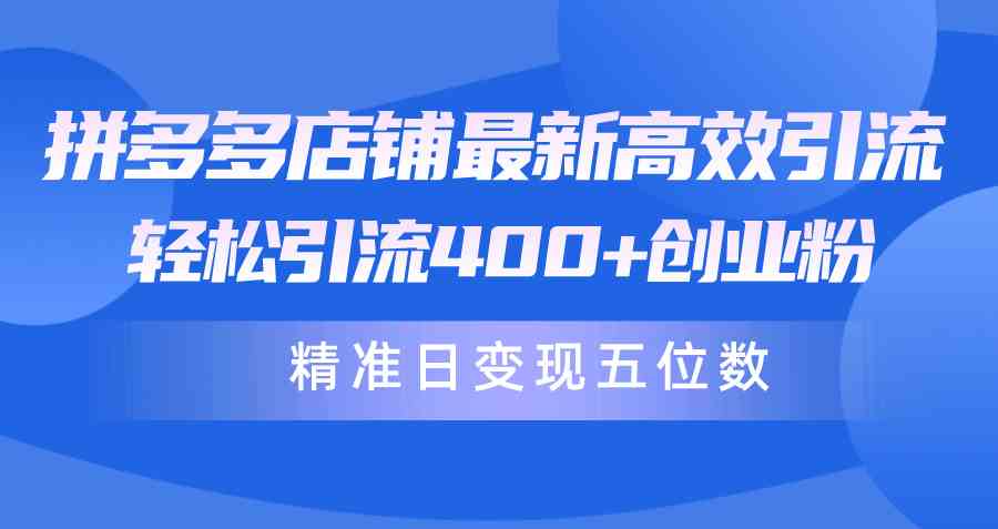 （10041期）拼多多店铺最新高效引流术，轻松引流400+创业粉，精准日变现五位数！-可创副业网