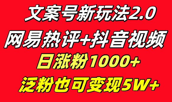 文案号新玩法 网易热评+抖音文案 一天涨粉1000+ 多种变现模式 泛粉也可变现-可创副业网