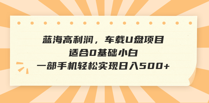 蓝海高利润，车载U盘项目，适合0基础小白，一部手机轻松实现日入500+-可创副业网