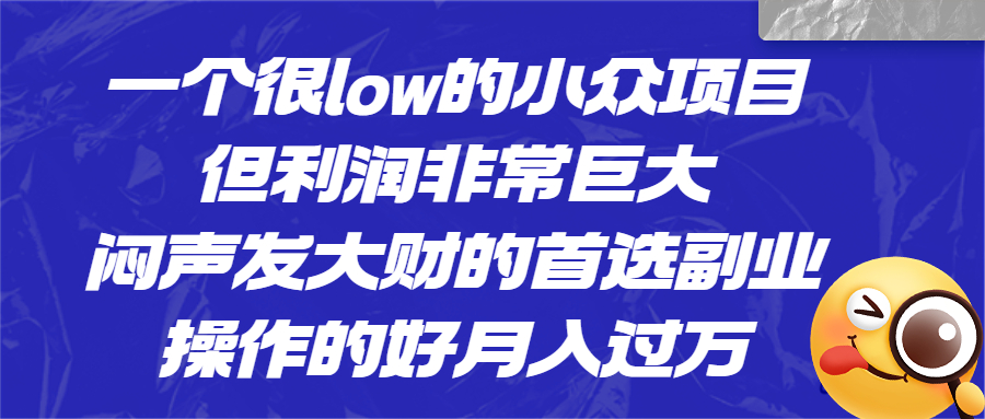 一个很low的小众项目，但利润非常巨大，闷声发大财的首选副业，月入过万-可创副业网