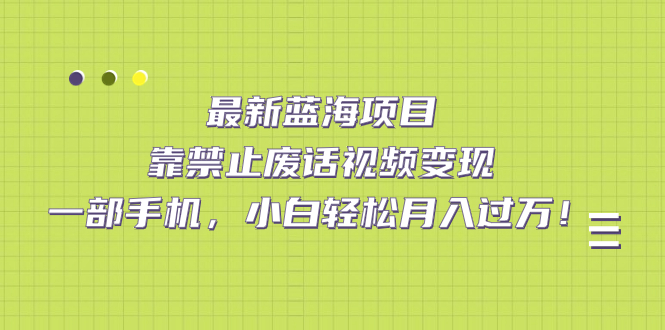 最新蓝海项目，靠禁止废话视频变现，一部手机，小白轻松月入过万！-可创副业网