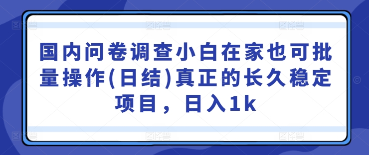 国内问卷调查小白在家也可批量操作(日结)真正的长久稳定项目，日入1k【揭秘】-可创副业网