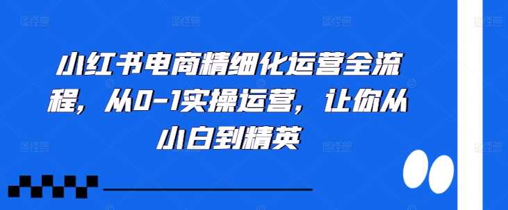 小红书电商精细化运营全流程，从0-1实操运营，让你从小白到精英-可创副业网