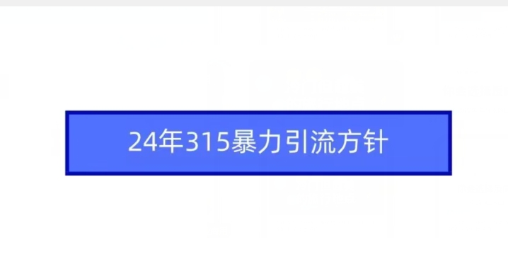 24年315暴力引流方针-可创副业网