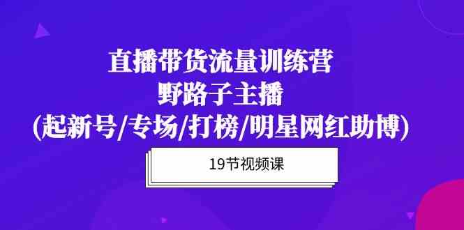 （10016期）直播带货流量特训营，野路子主播(起新号/专场/打榜/明星网红助博)19节课-可创副业网