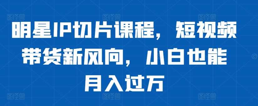 明星IP切片课程，短视频带货新风向，小白也能月入过万-可创副业网
