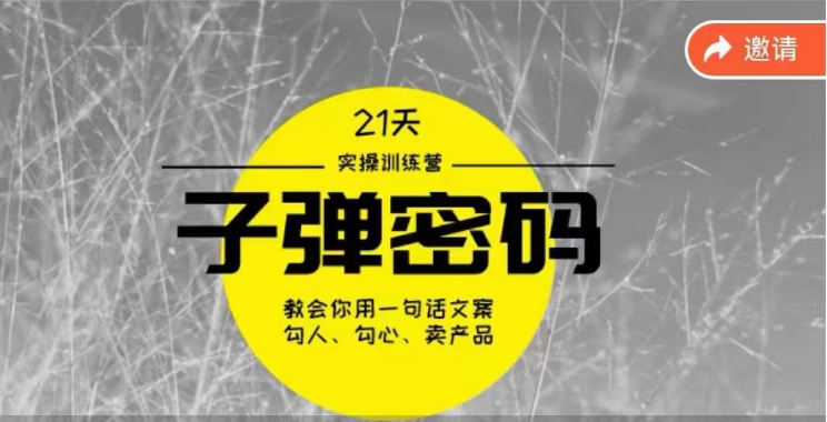 《子弹密码训练营》用一句话文案勾人勾心卖产品，21天学到顶尖文案大师策略和技巧-可创副业网