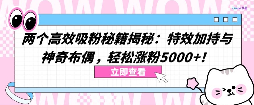 两个高效吸粉秘籍揭秘：特效加持与神奇布偶，轻松涨粉5000+-可创副业网