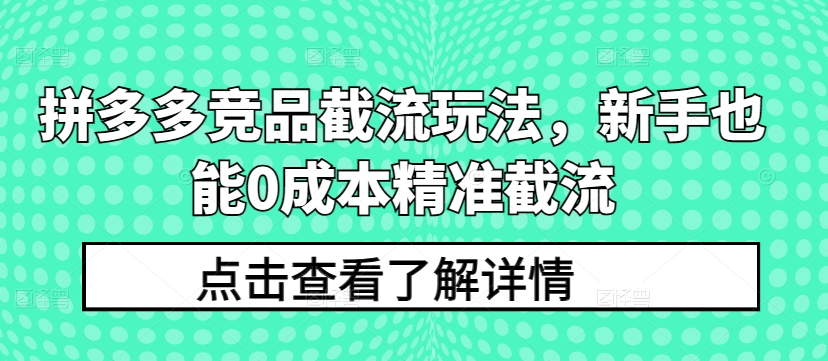 拼多多竞品截流玩法，新手也能0成本精准截流-可创副业网