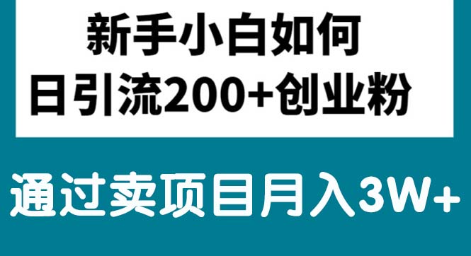 （10843期）新手小白日引流200+创业粉,通过卖项目月入3W+-可创副业网