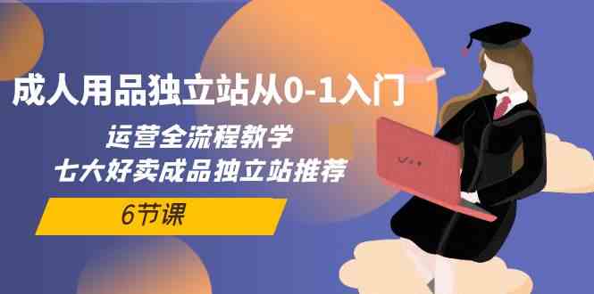 （10082期）成人用品独立站从0-1入门，运营全流程教学，七大好卖成品独立站推荐-6节课-可创副业网