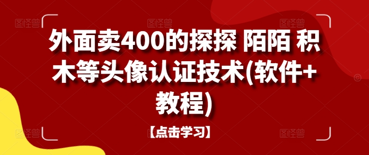 外面卖400的探探 陌陌 积木等头像认证技术(软件+教程)-可创副业网