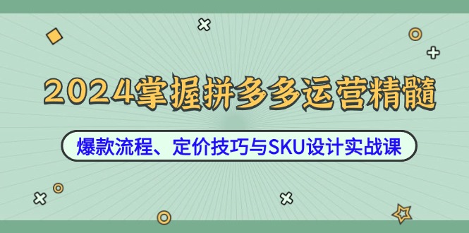 2024掌握拼多多运营精髓：爆款流程、定价技巧与SKU设计实战课-可创副业网