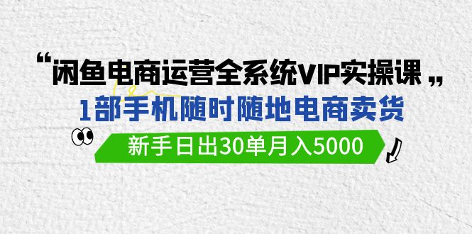 闲鱼电商运营全系统VIP实战课，1部手机随时随地卖货，新手日出30单月入5000-可创副业网
